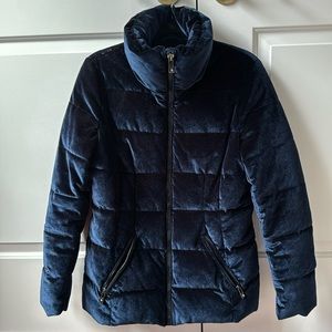 Royal blue velvet puffer winter coat